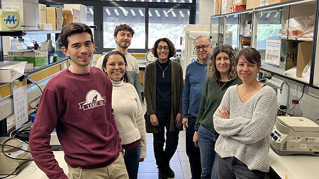 tirzepatide spanish Researchers discover how an anti-obesity drug improves metabolism beyond  weight loss